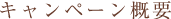 キャンペーン概要